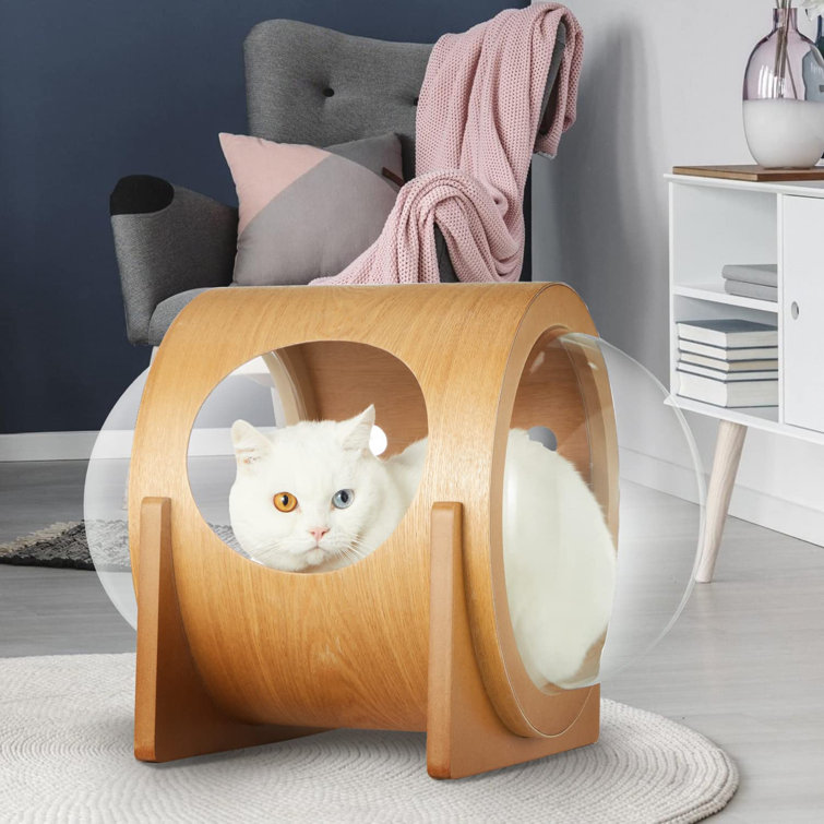 Cosmic cat outlet bed